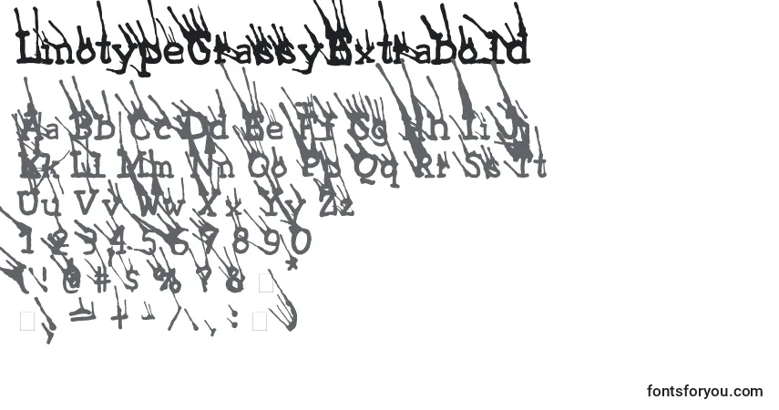 Czcionka LinotypeGrassyExtrabold – alfabet, cyfry, specjalne znaki