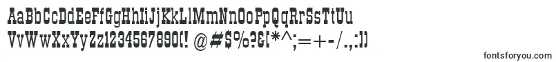 Dsroundup-fontti – Fontit Adobe Muselle