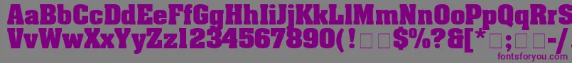 BlocSsiBold Font – Purple Fonts on Gray Background