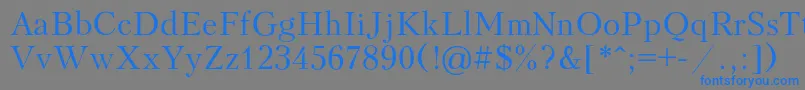 フォントPeterbur – 灰色の背景に青い文字