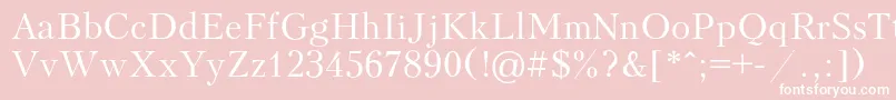 Peterbur Font – White Fonts on Pink Background