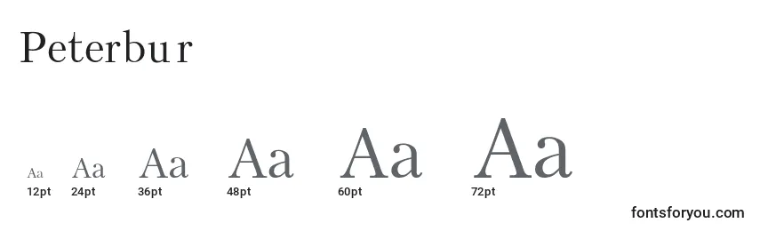 Peterbur Font Sizes