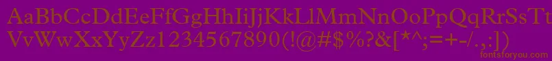 TerminusSsi Font – Brown Fonts on Purple Background