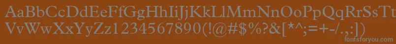 フォントTerminusSsi – 茶色の背景に灰色の文字