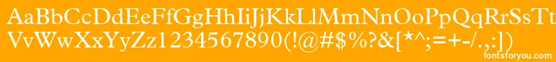 フォントTerminusSsi – オレンジの背景に白い文字