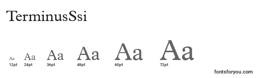 TerminusSsi Font Sizes