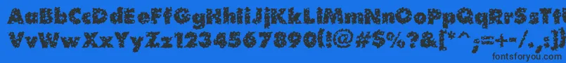 Waterhole-Schriftart – Schwarze Schriften auf blauem Hintergrund