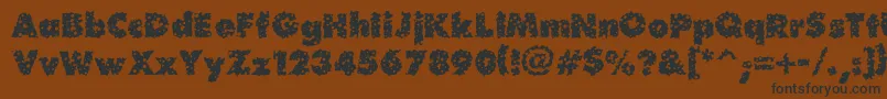 Waterhole Font – Black Fonts on Brown Background