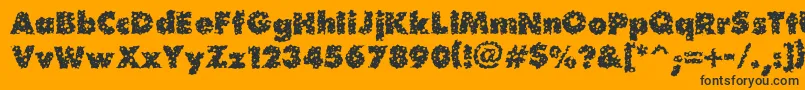 Waterhole-Schriftart – Schwarze Schriften auf orangefarbenem Hintergrund