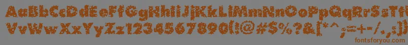 Шрифт Waterhole – коричневые шрифты на сером фоне