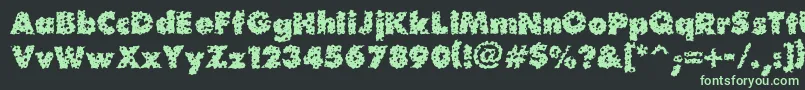 Waterhole Font – Green Fonts on Black Background