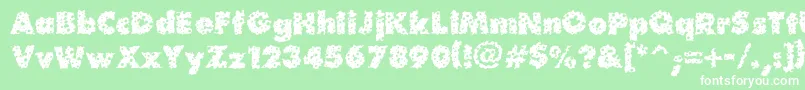 Waterhole Font – White Fonts on Green Background
