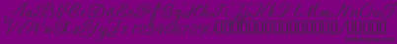 SrsaBT Font – Black Fonts on Purple Background