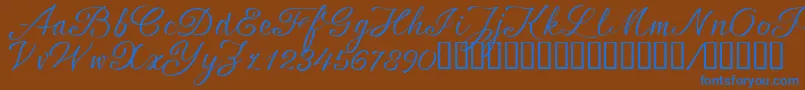 SrsaBT Font – Blue Fonts on Brown Background