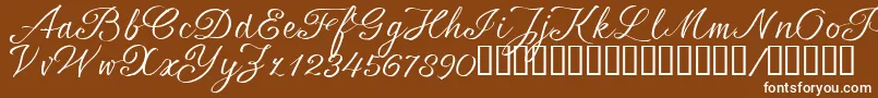 SrsaBT Font – White Fonts on Brown Background