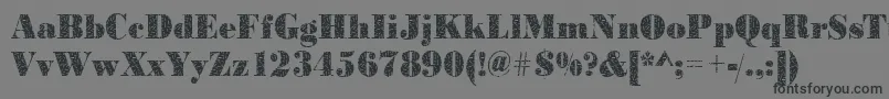 Bodoniteensy2Regular-Schriftart – Schwarze Schriften auf grauem Hintergrund