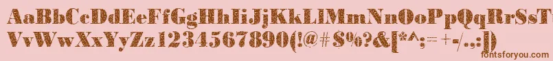 Bodoniteensy2Regular Font – Brown Fonts on Pink Background