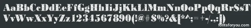 Bodoniteensy2Regular-fontti – valkoiset fontit mustalla taustalla