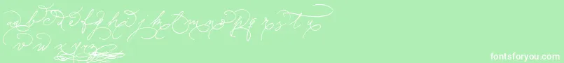 SudestadaEnds Font – White Fonts on Green Background