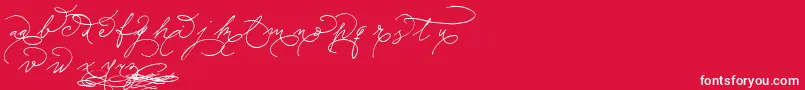 SudestadaEnds Font – White Fonts on Red Background