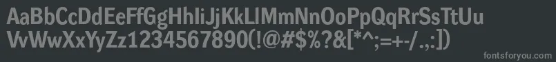 フォントDynagroteskrBold – 黒い背景に灰色の文字