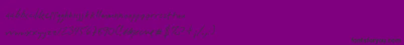 Dlylehand Font – Black Fonts on Purple Background