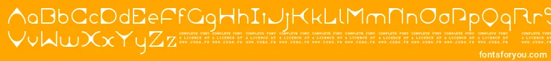 LeonardianSample Font – White Fonts on Orange Background