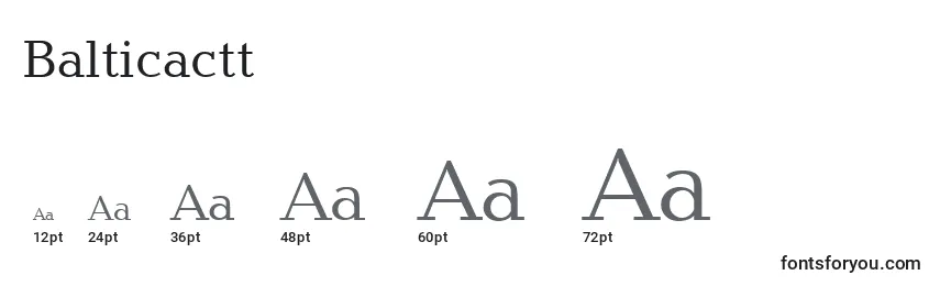 Размеры шрифта Balticactt