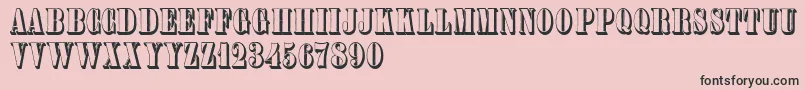 Plastischeplakatantiqua Font – Black Fonts on Pink Background