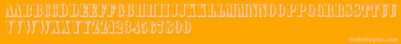 Plastischeplakatantiqua Font – Pink Fonts on Orange Background