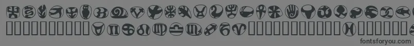 FrutigersymbolsRegular Font – Black Fonts on Gray Background