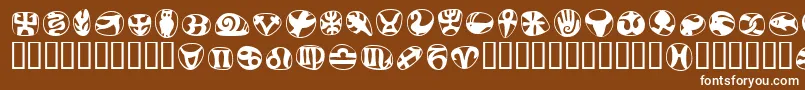 Шрифт FrutigersymbolsRegular – белые шрифты на коричневом фоне