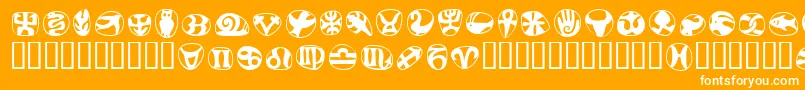 Шрифт FrutigersymbolsRegular – белые шрифты на оранжевом фоне