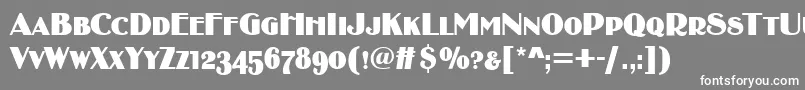 BirminghamsoftCaps Font – White Fonts on Gray Background