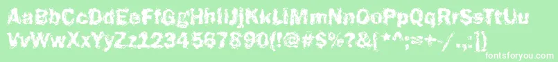 Funky23Bold Font – White Fonts on Green Background