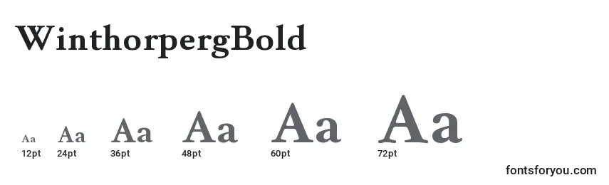 WinthorpergBold Font Sizes