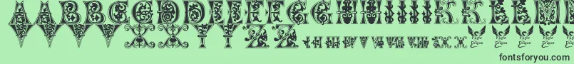 FloralMajuscules11thC Font – Black Fonts on Green Background