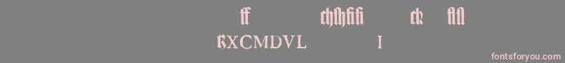 TexturgotischLtExpertDfr Font – Pink Fonts on Gray Background