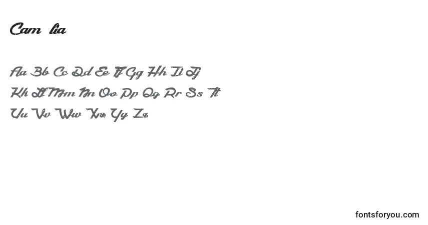 Schriftart CamРІlia – Alphabet, Zahlen, spezielle Symbole