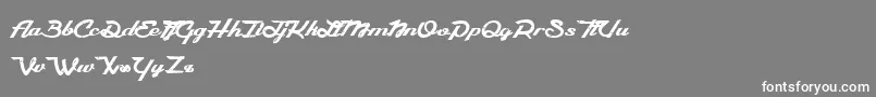 CamРІlia Font – White Fonts on Gray Background