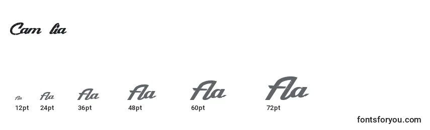 CamРІlia Font Sizes