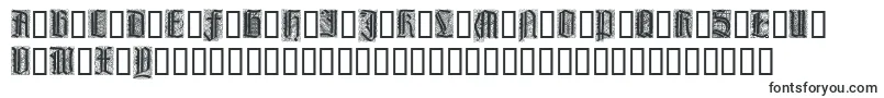 LiturgischZierbuchstaben Font – Fonts for Adobe Premiere Pro