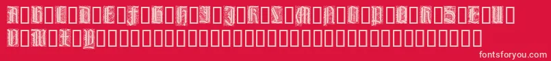 LiturgischZierbuchstaben Font – Pink Fonts on Red Background