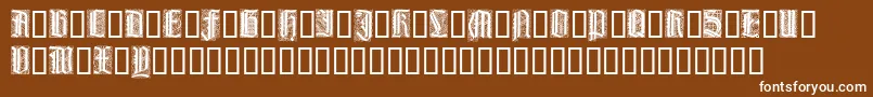 LiturgischZierbuchstaben Font – White Fonts on Brown Background