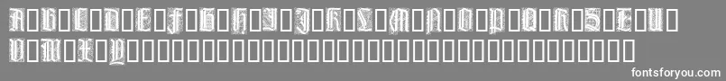 フォントLiturgischZierbuchstaben – 灰色の背景に白い文字