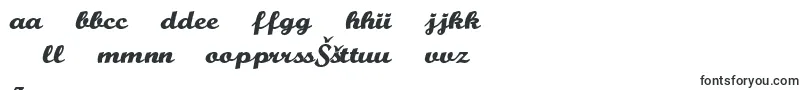 BuffaloNickel-Schriftart – lettische Schriften
