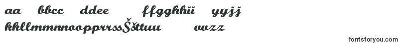 BuffaloNickel-Schriftart – litauische Schriften