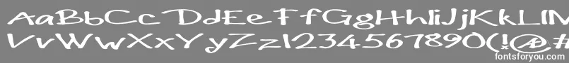 Paulmaul ffy Font – White Fonts on Gray Background