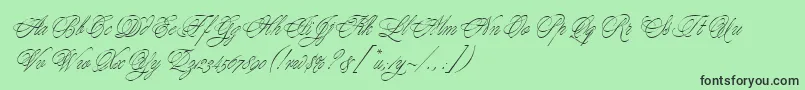 YoungBaroqueLetPlain.1.0 Font – Black Fonts on Green Background