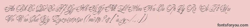 YoungBaroqueLetPlain.1.0-Schriftart – Schwarze Schriften auf rosa Hintergrund